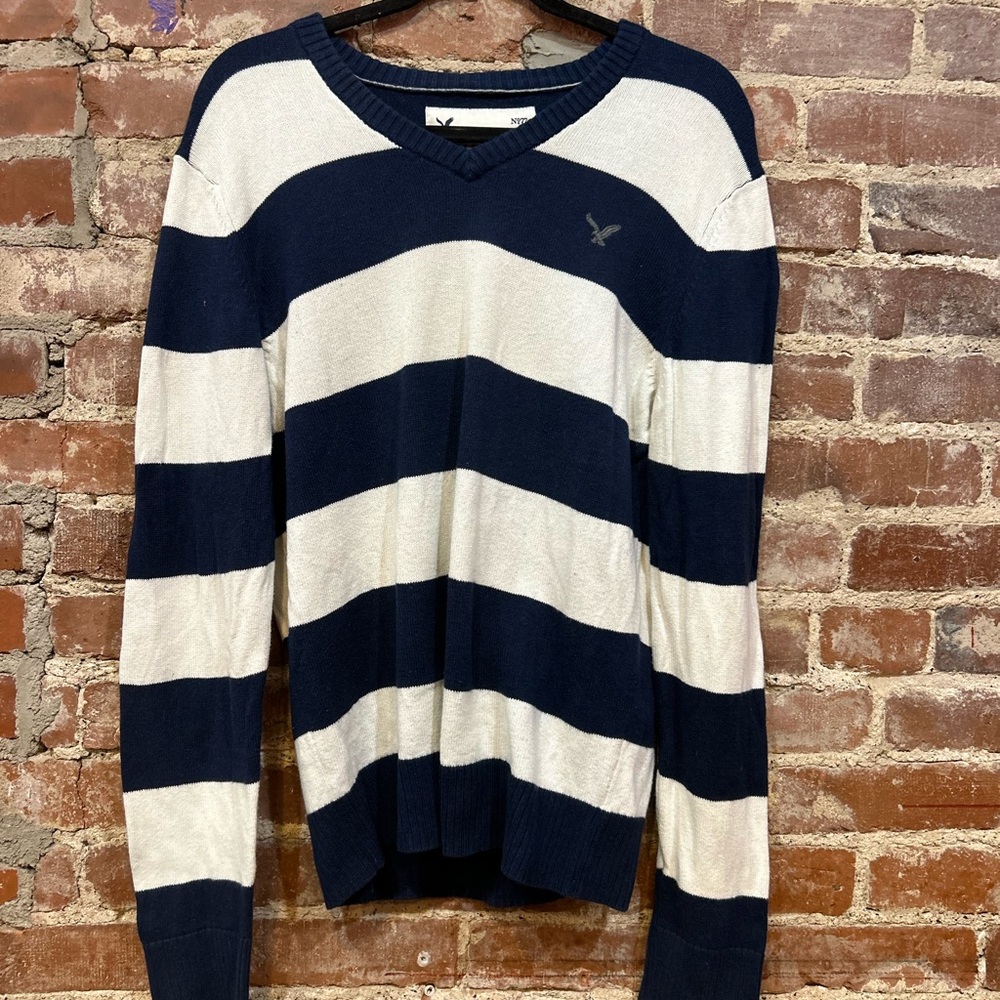 American Eagle Outfitters V-Neck Sweater in Navy and Cream